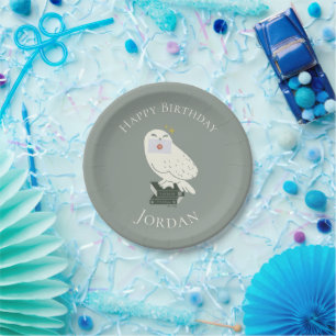 Plato De Papel Hedwig con carta Dibujo caprichoso
