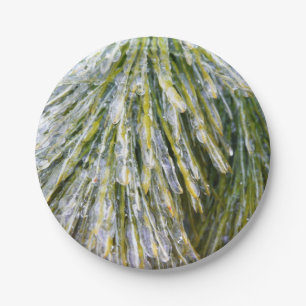 Plato De Papel Helado Cubierta de Pino Agujas Botánicas de Invier