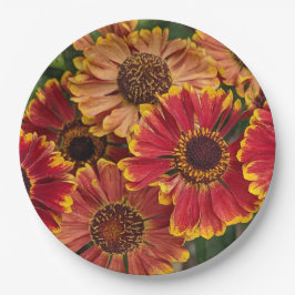 Plato De Papel Helenium Autumnale Blooms Floral