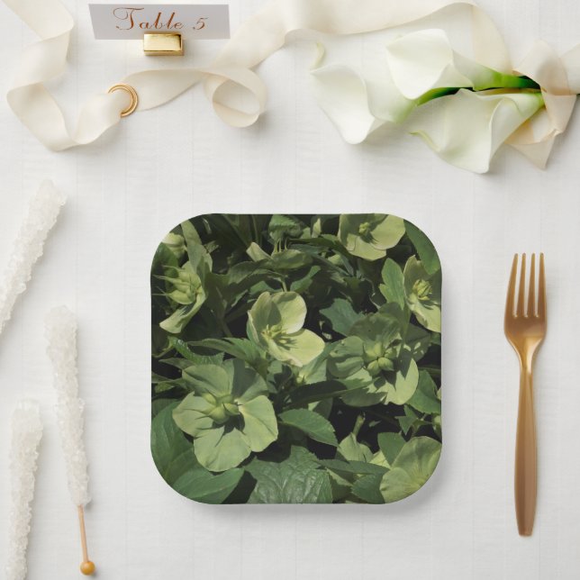 Plato De Papel Hellebore verde (Boda)