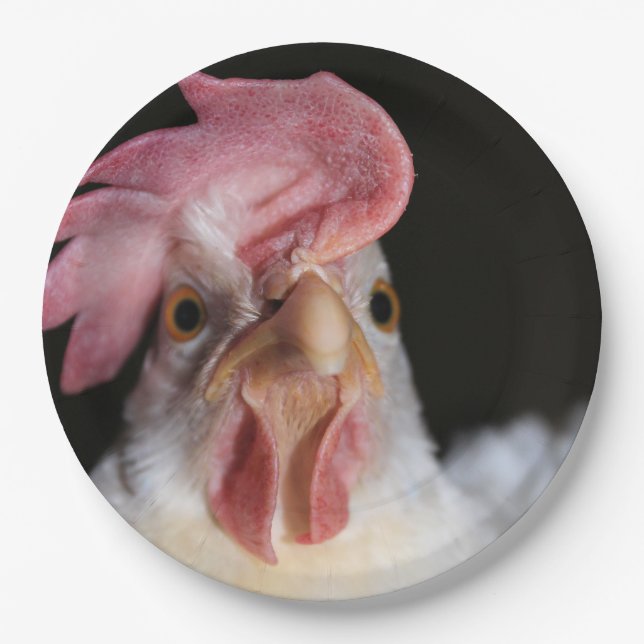 Plato De Papel Hen (Anverso)