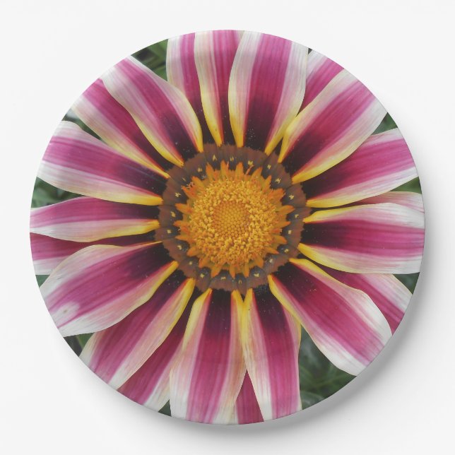 Plato De Papel Hereford (Anverso)