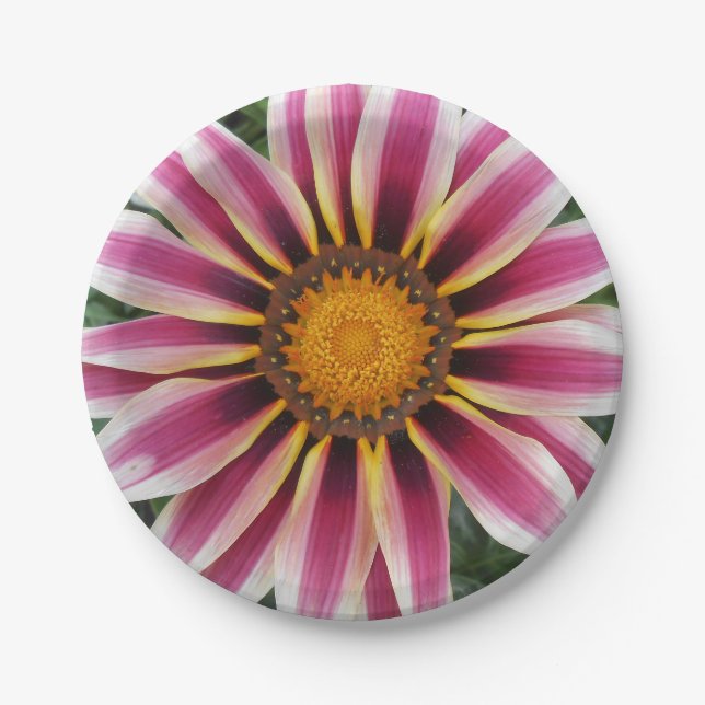 Plato De Papel Hereford (Anverso)