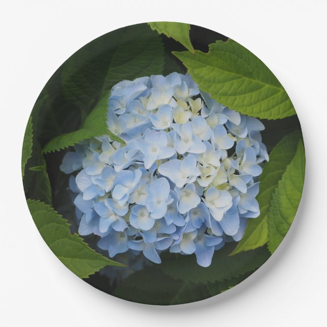 Plato De Papel Hermosa foto floral de Hydrangea azul (Anverso)