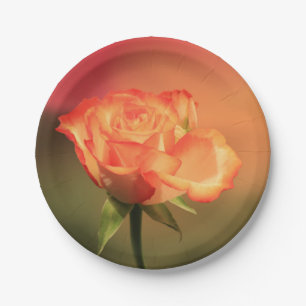 Plato De Papel Hermosa fotografía romántica Rosa