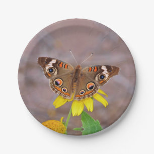 Plato De Papel Hermosa mariposa sobre la flor amarilla