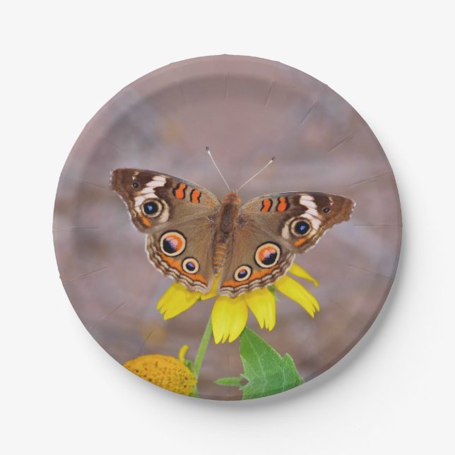 Plato De Papel Hermosa mariposa sobre la flor amarilla (Anverso)