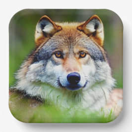 Plato De Papel Hermosa pintura en la cabeza de Wolf