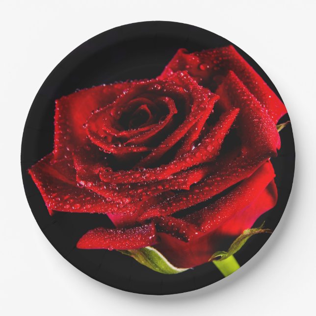 Plato De Papel Hermosa rosa roja (Anverso)