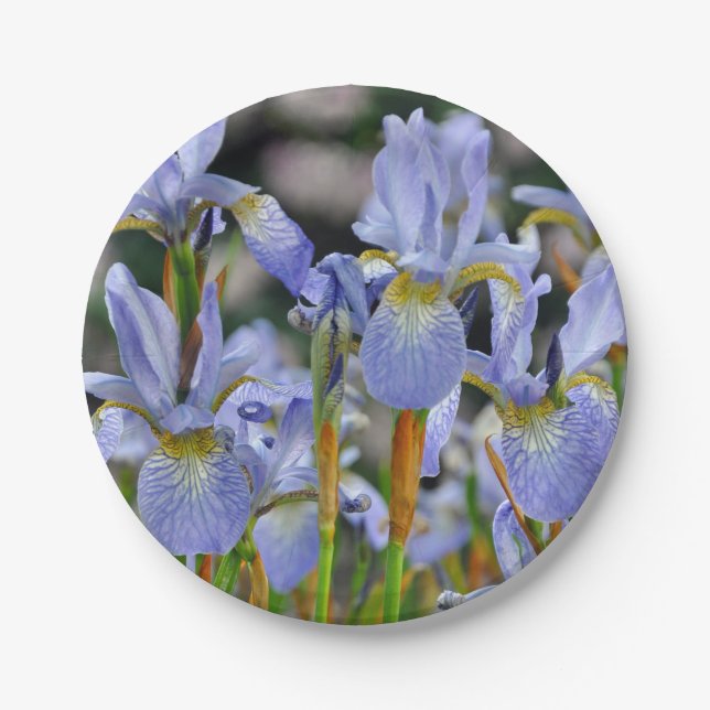 Plato De Papel Hermosas flores de iris (Anverso)