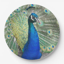 Plato De Papel Hermosas plumas de pavo real azul