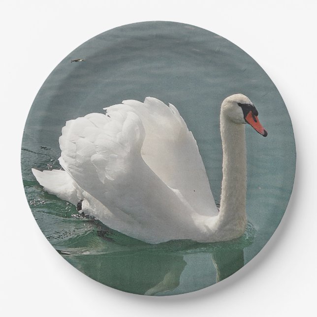 Plato De Papel Hermoso cisne blanco (Anverso)