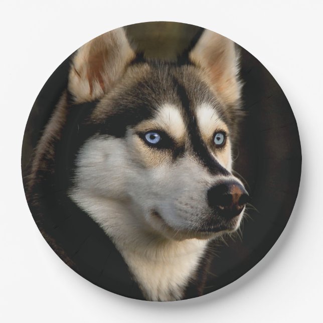 Plato De Papel Hermoso Cojín decorativo Husky (Anverso)