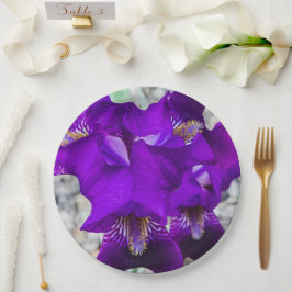 Plato De Papel Hermoso iris morado