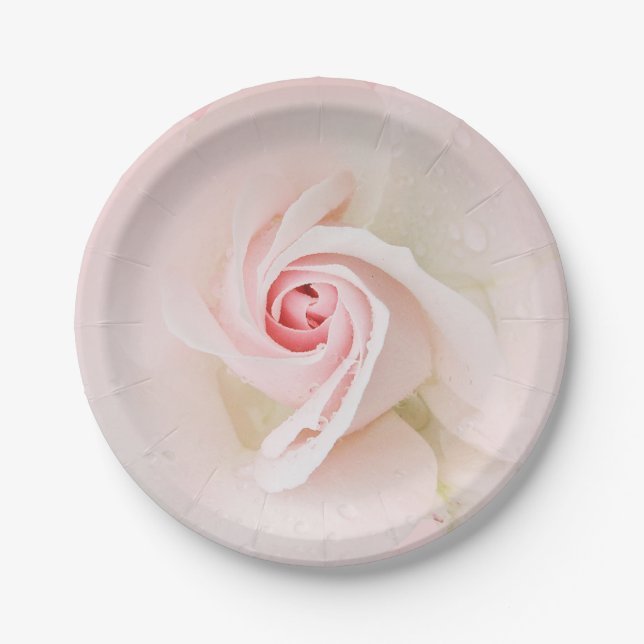 Plato De Papel Hermoso Rosa Suave Húmeda Rosa Elegante Lluvia de  (Anverso)