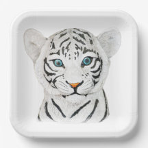 Hermoso Tigre Blanco Con Ojos Azules