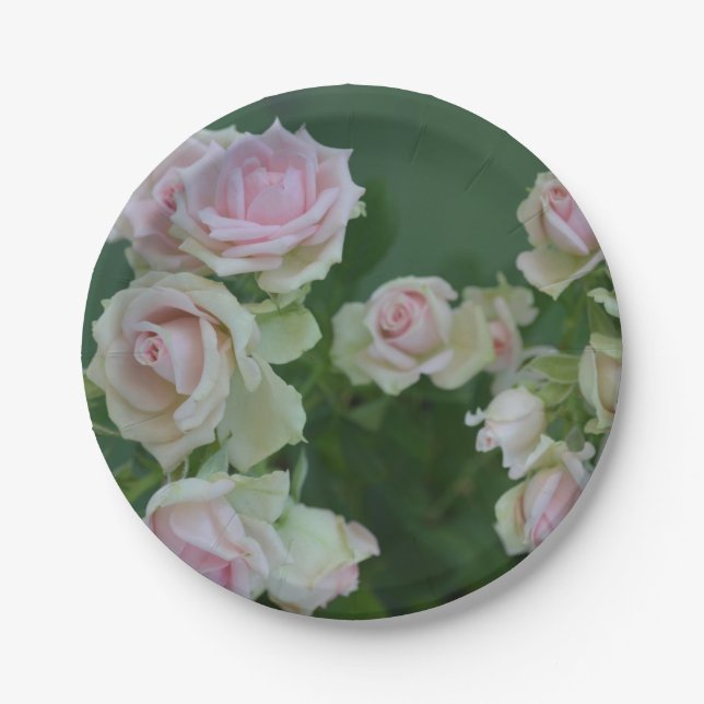 Plato De Papel Hermosos rosas de jardín rosa claro (Anverso)