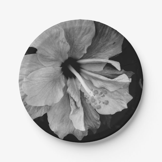 Plato De Papel Hibiscus (Anverso)
