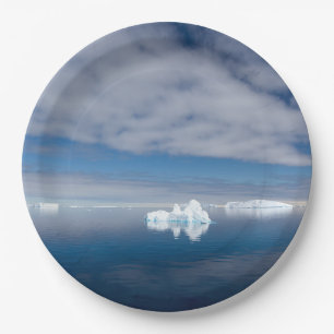 Plato De Papel Hielo flotante en la Antártida