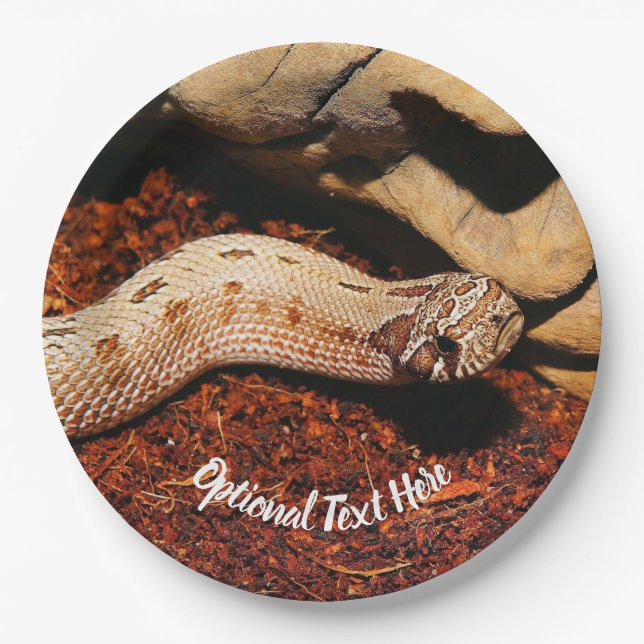 Plato De Papel Hognose Mascota Snake (Anverso)