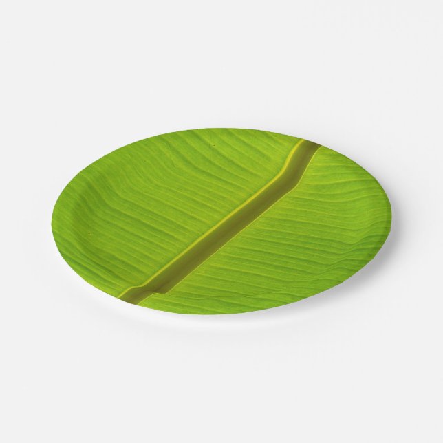 Plato De Papel Hoja del plátano del primer (Angular)