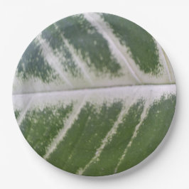 Plato De Papel Hoja verde elegante de 9 pulgadas con delgada líne