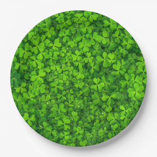 Plato De Papel Hojas de trébol verdes con gota de agua