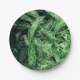 Plato De Papel Hojas verdes
