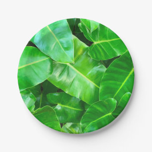 Plato De Papel Hojas verdes Palm Leaf selva tropical selva