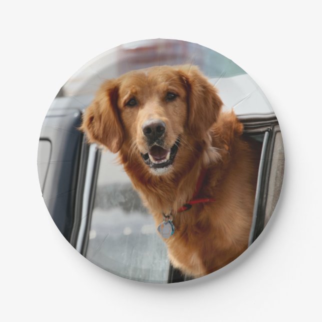 Plato De Papel Hola (Anverso)