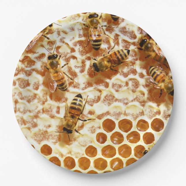 PLATO DE PAPEL HONEY BEES (Anverso)