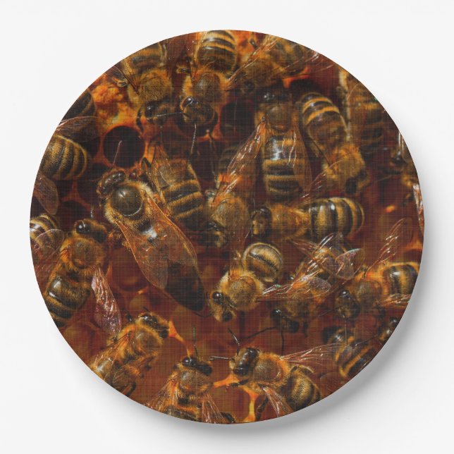 PLATO DE PAPEL HONEYBEES 7 (Anverso)
