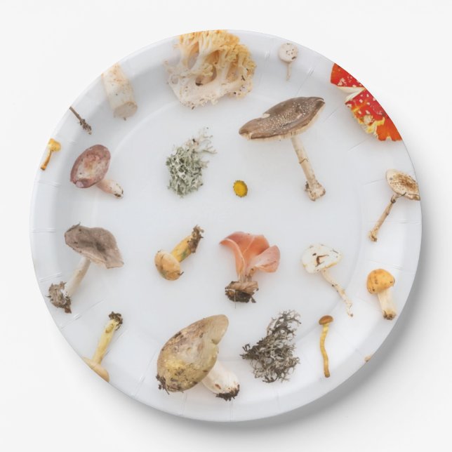 Plato De Papel Hongos Fungus (Anverso)