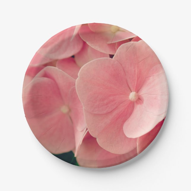 Plato De Papel Hortensia Hidrangea flores rosa pastel floridas (Anverso)