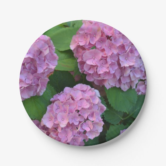 Plato De Papel Hortensia hidrangea rosa (Anverso)