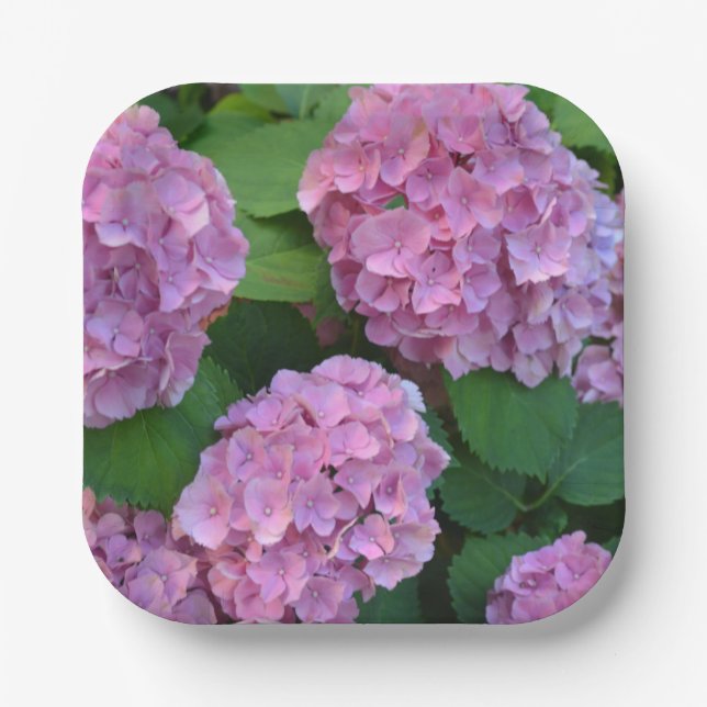Plato De Papel Hortensia hidrangea rosa (Anverso)