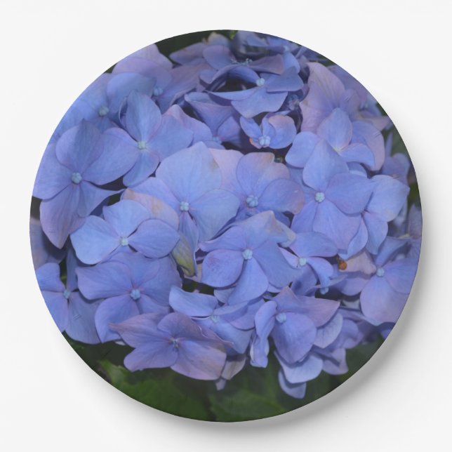 Plato De Papel Hortensia macrophylla Morada Rústica (Anverso)