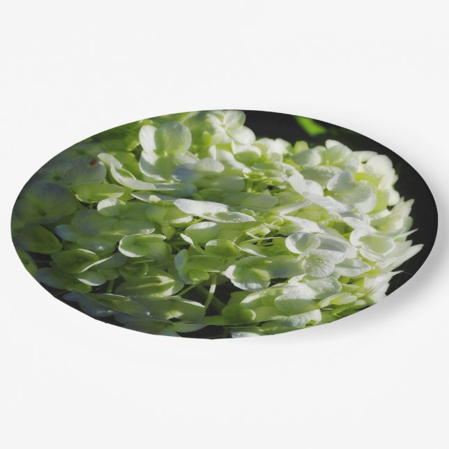 Plato De Papel Hortensias Verdes Flores (Angular)