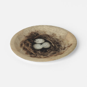 Plato De Papel Huevos Retro Brown Viejos Antiguos Nido de Pájaro