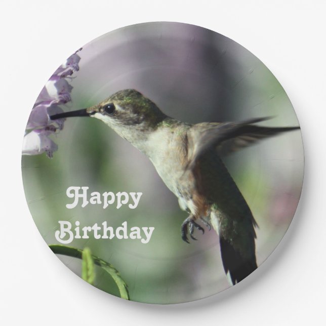 Plato De Papel Hummingbird Floral rosa Foto de cumpleaños (Anverso)