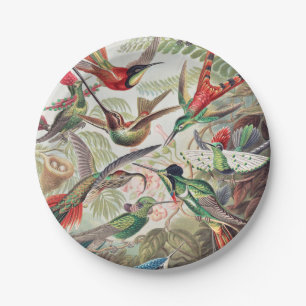 Plato De Papel Hummingbird, Trochilidae Kolibris por Ernst Haecke