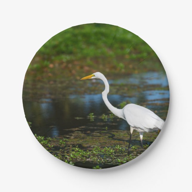 Plato De Papel Hunting Egret (Anverso)