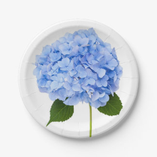 Plato De Papel Hydrangea