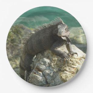 Plato De Papel Iguana en las rocas en St. Thomas