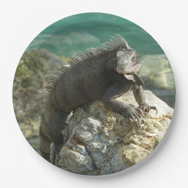 Plato De Papel Iguana en las rocas en St. Thomas (Anverso)