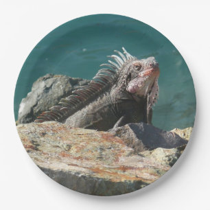 Plato De Papel Iguana en Santo Tomás