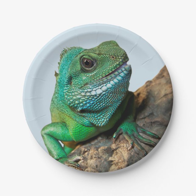 Plato De Papel Iguana verde (Anverso)