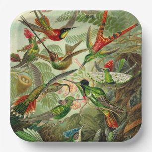 Plato De Papel Ilustración de colibrí de Ernst Haeckel
