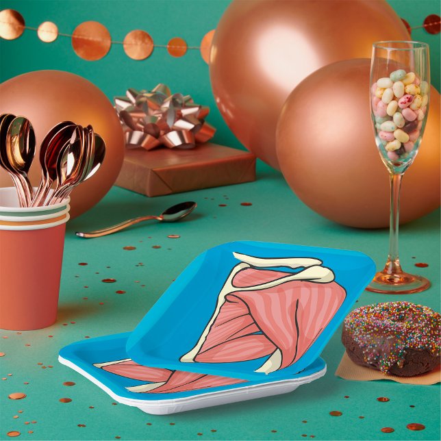 Plato De Papel Ilustracion de órganos (Subido por el creador)