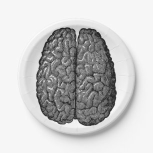 Plato De Papel Ilustracion del cerebro humano del vintage